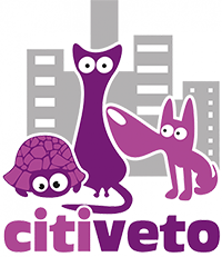 CITIVETO